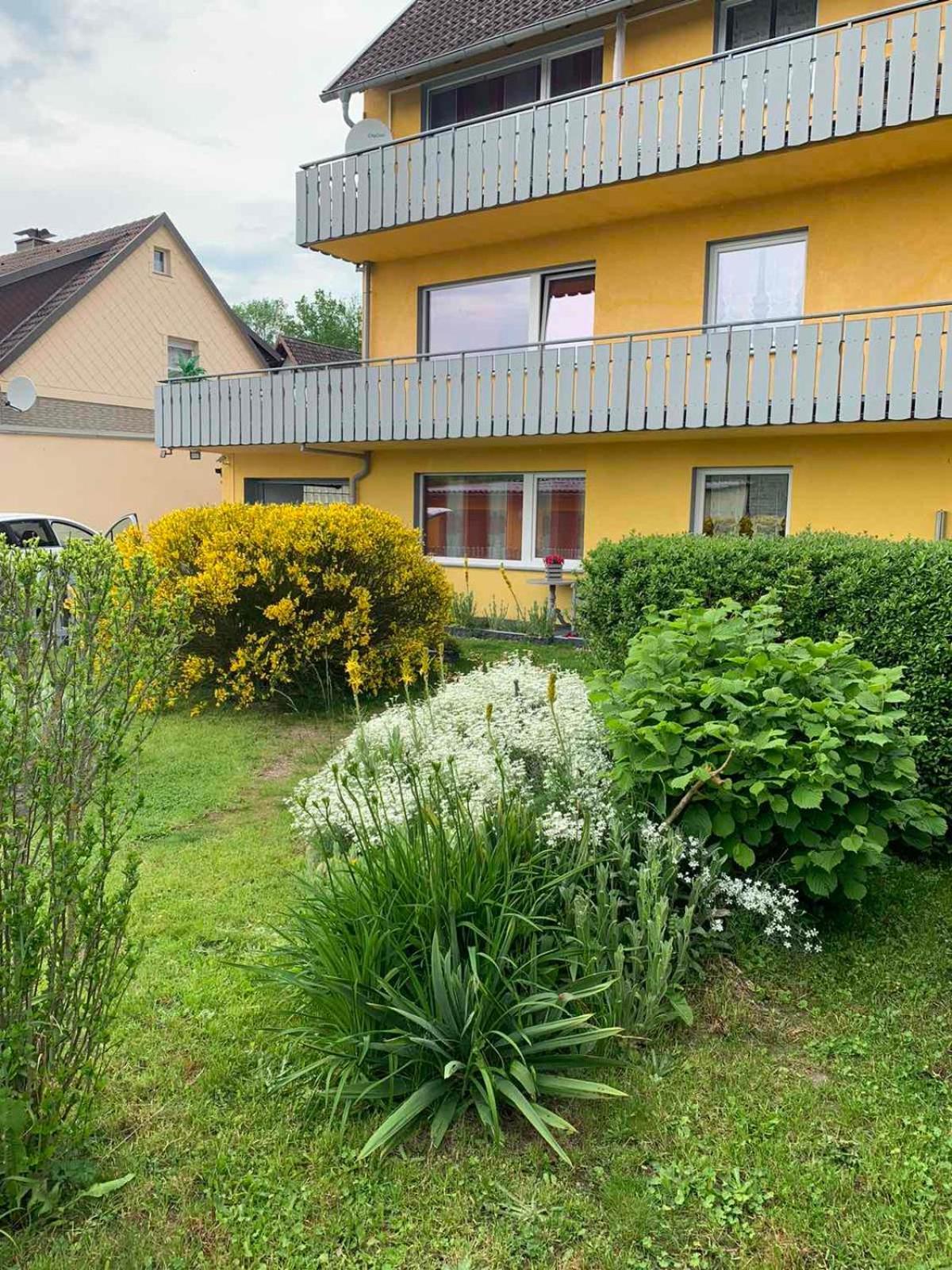 Ferienhaus Am Geiersberg Walkenried Екстер'єр фото