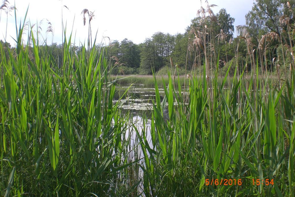 Ferienhaus Am Geiersberg Walkenried Екстер'єр фото